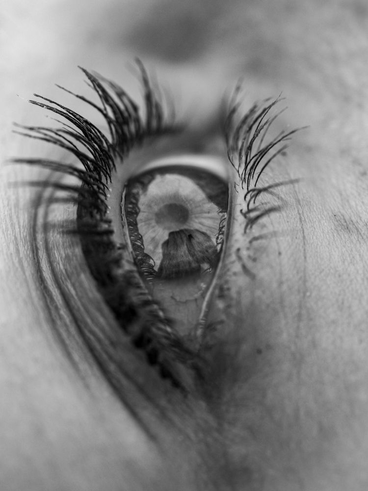 Photograph by Виталий