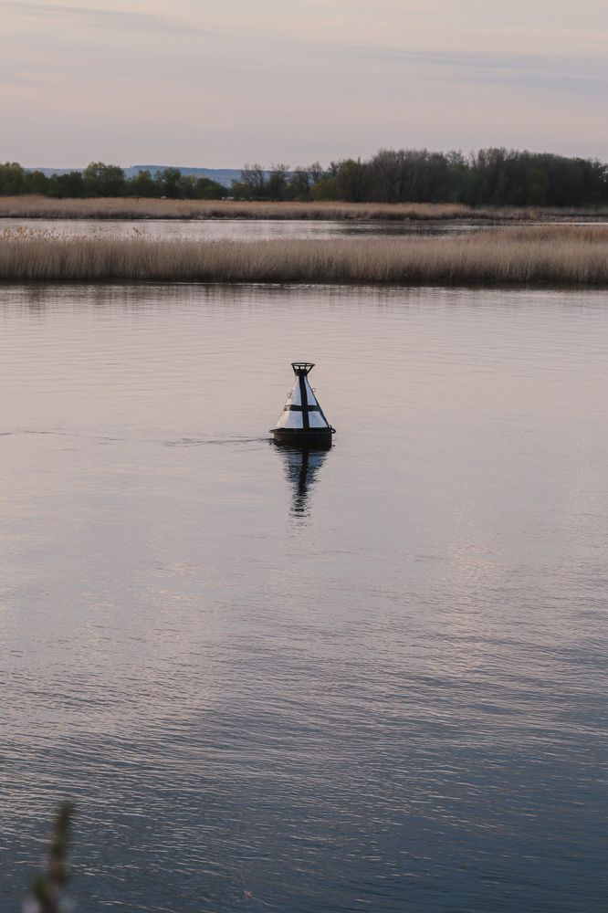 Фотография автора Юлия Гантимурова