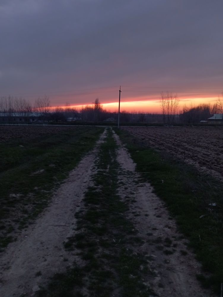 Photograph by Lobar Komiljonova