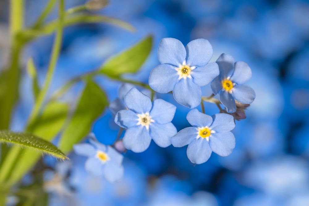 Photograph by Дмитрий Муравьев