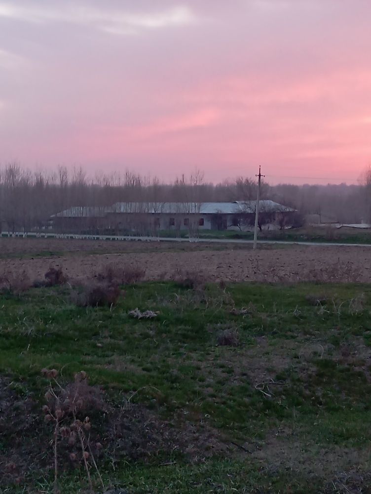 Photograph by Lobar Komiljonova