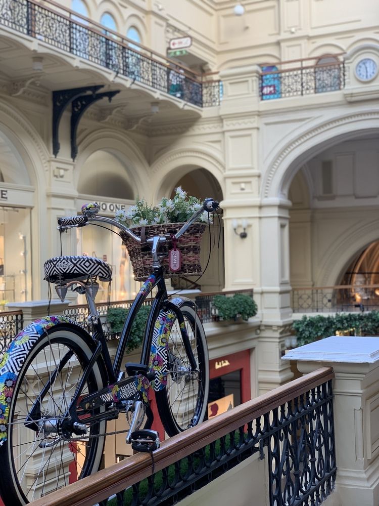 Фотография автора Виктория Ляпина