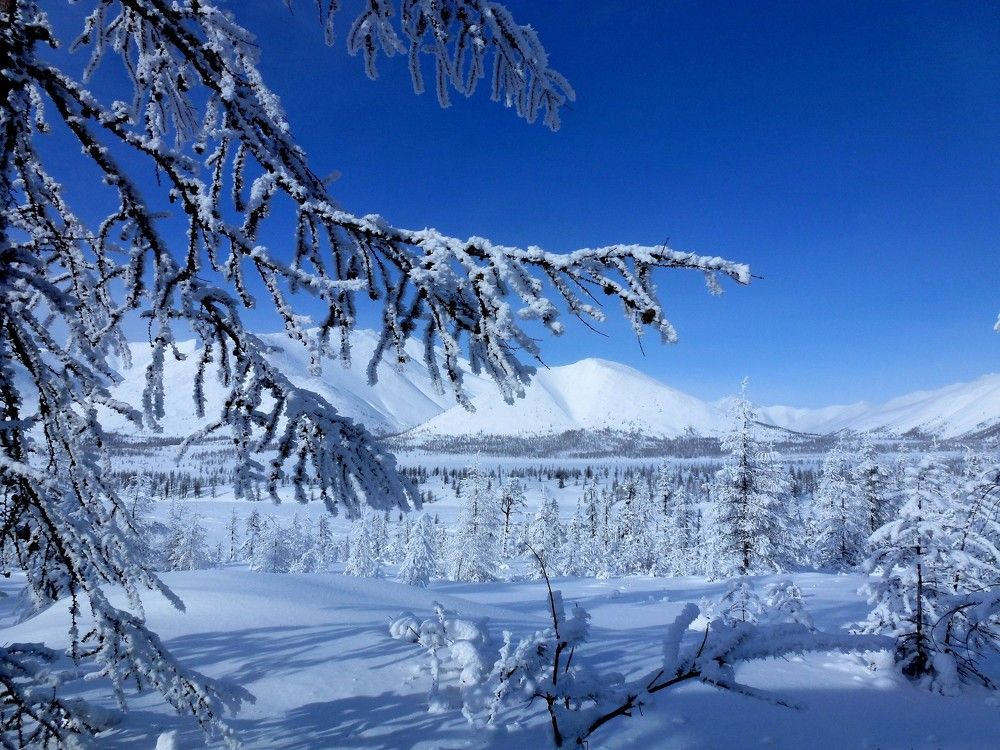 Photograph by Галина Искандарова