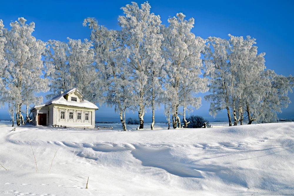 Зимнее очарование