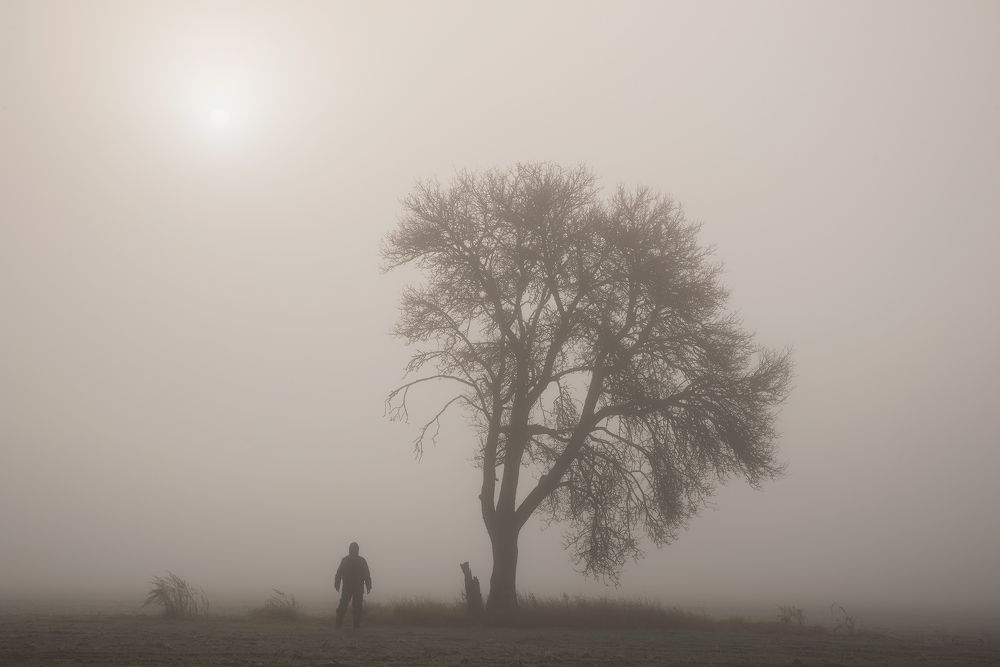 Photograph by Захаров Дмитрий
