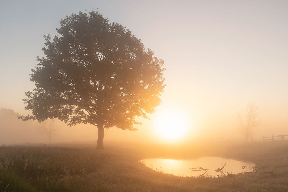 Photograph by Захаров Дмитрий