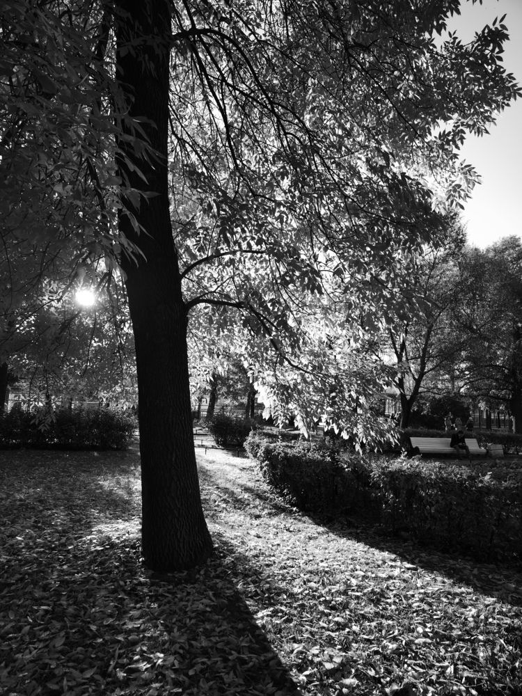 Photo #11342424