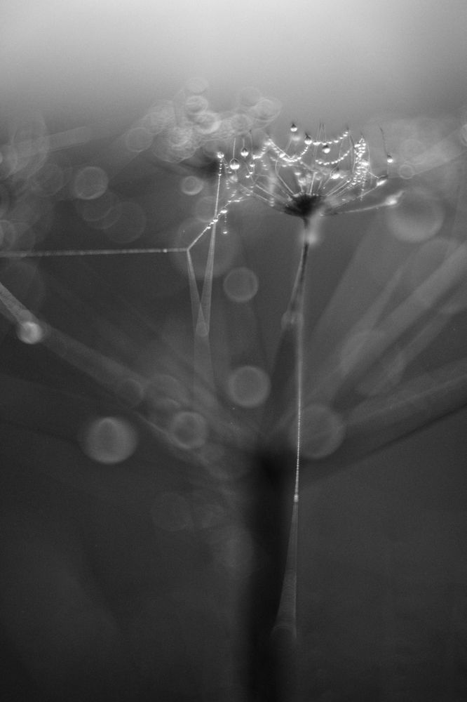 Photograph by Владимир Леликов-Кузьменко