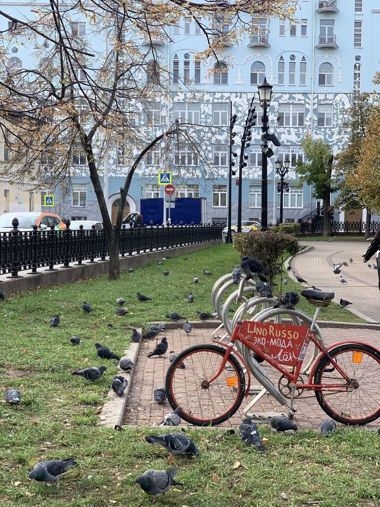 Фотография автора Виктория Ляпина