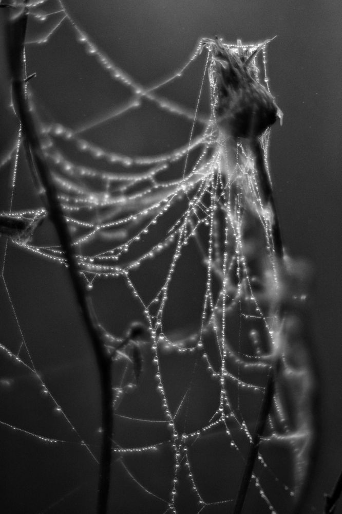 Photograph by Владимир Леликов-Кузьменко