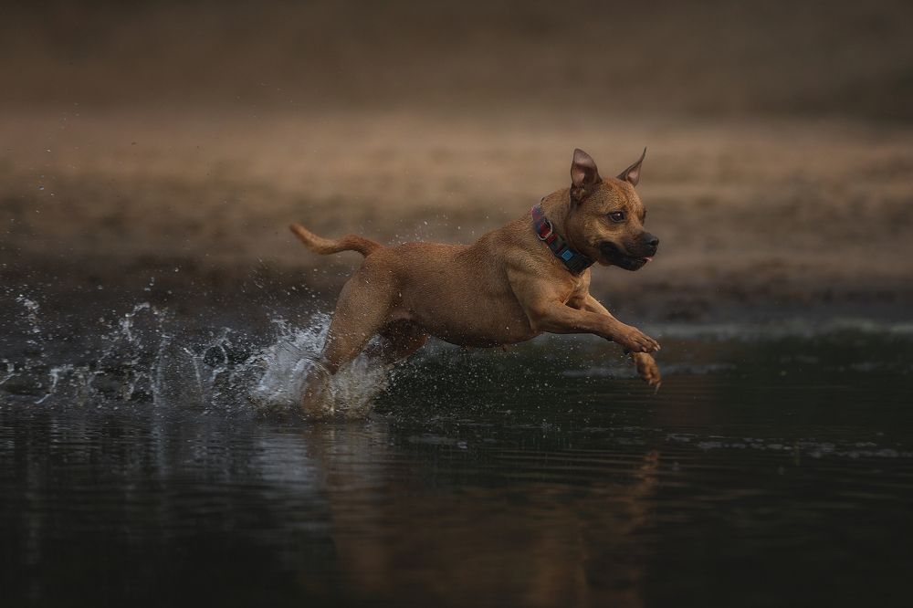 Photograph by Мария Шерскова