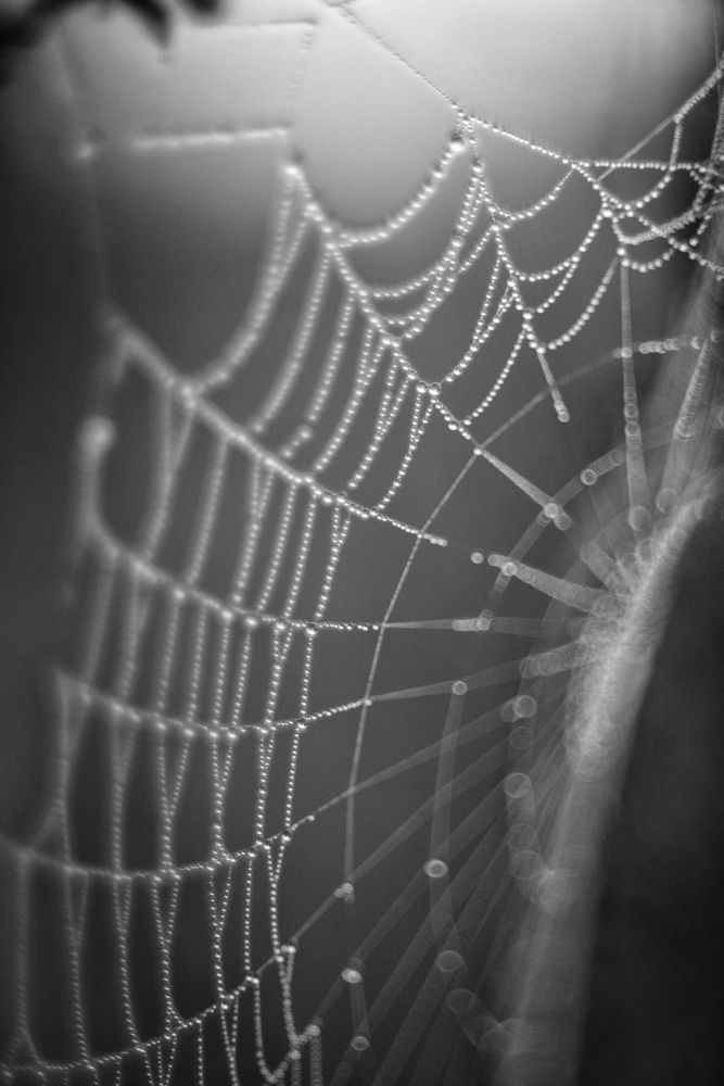 Photograph by Владимир Леликов-Кузьменко