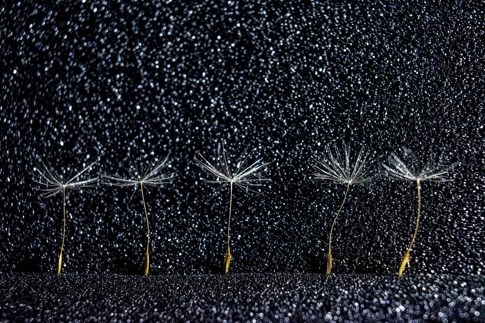 Photograph by Наталья Вялых