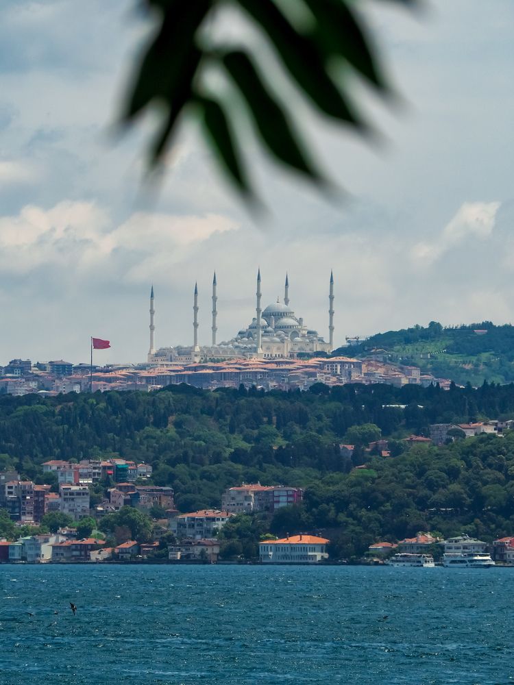 Photograph by Виталий