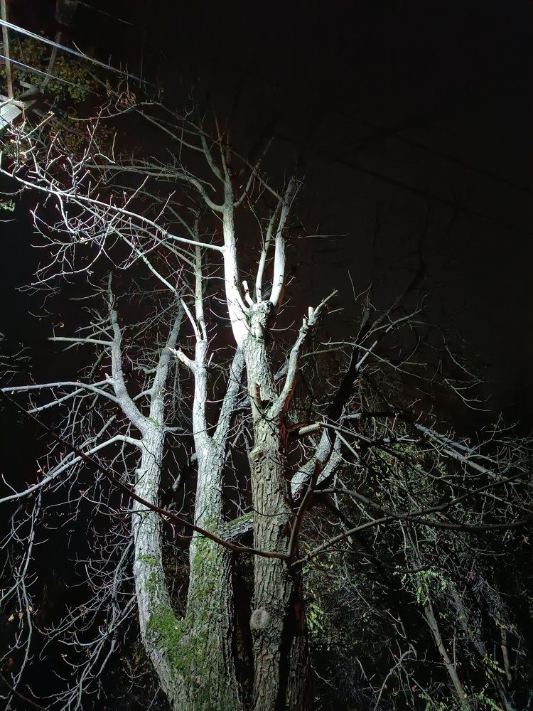 Photograph by Карина Слабкая