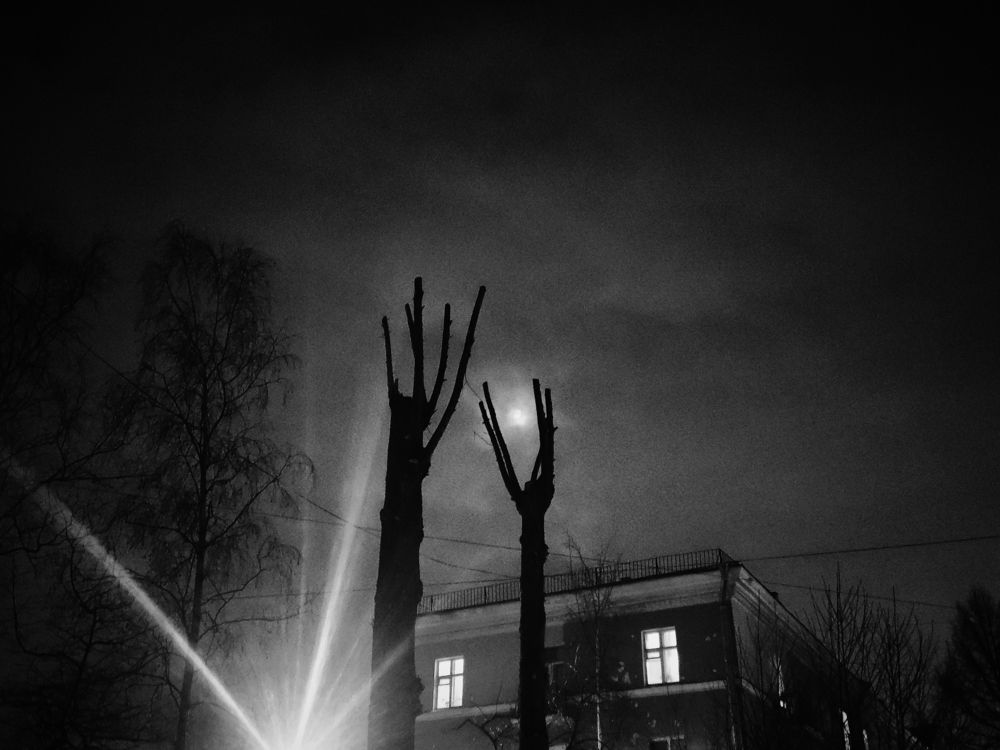 Photograph by Оксана Ботвина