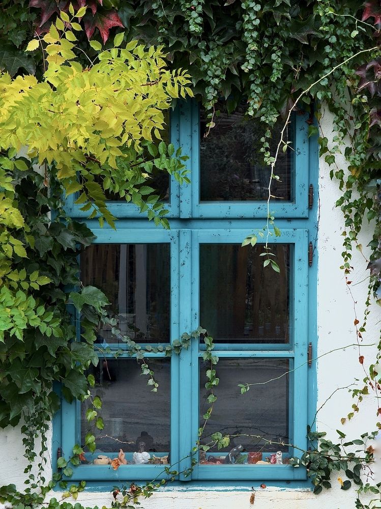 Фотография автора Катерина Иванова