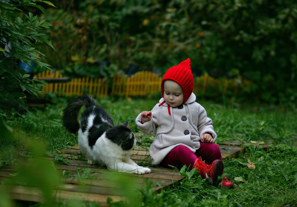 Photograph by Арина Прокшина