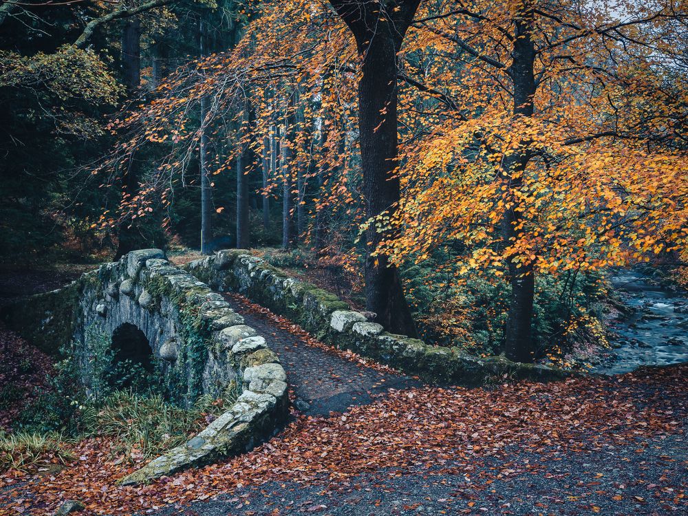 Photograph by Anatoly Chomko