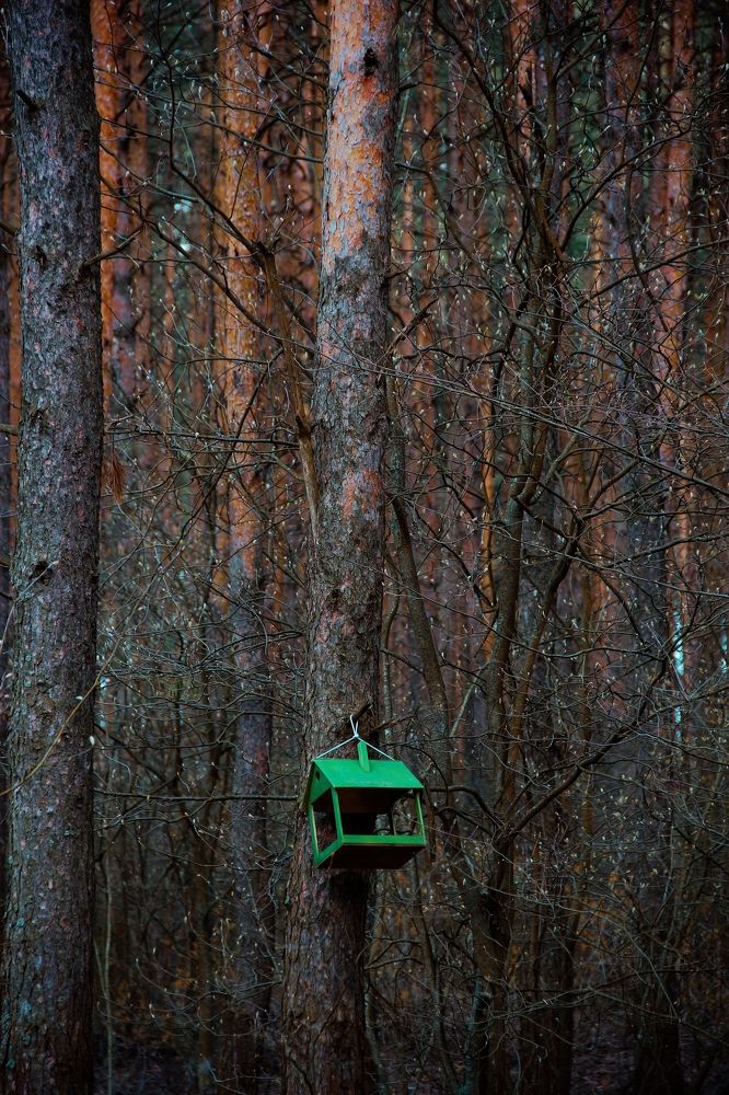 Photograph by Анна Любимова