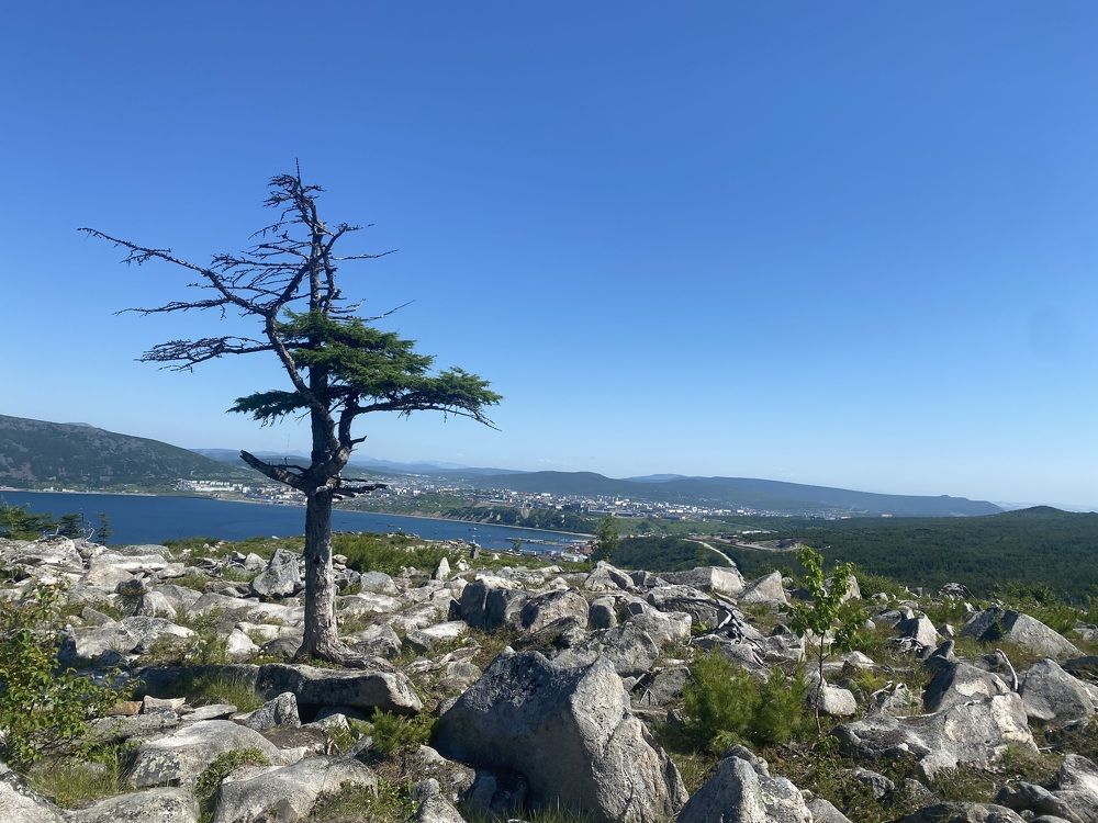 Фотография автора Наталья Вертугина