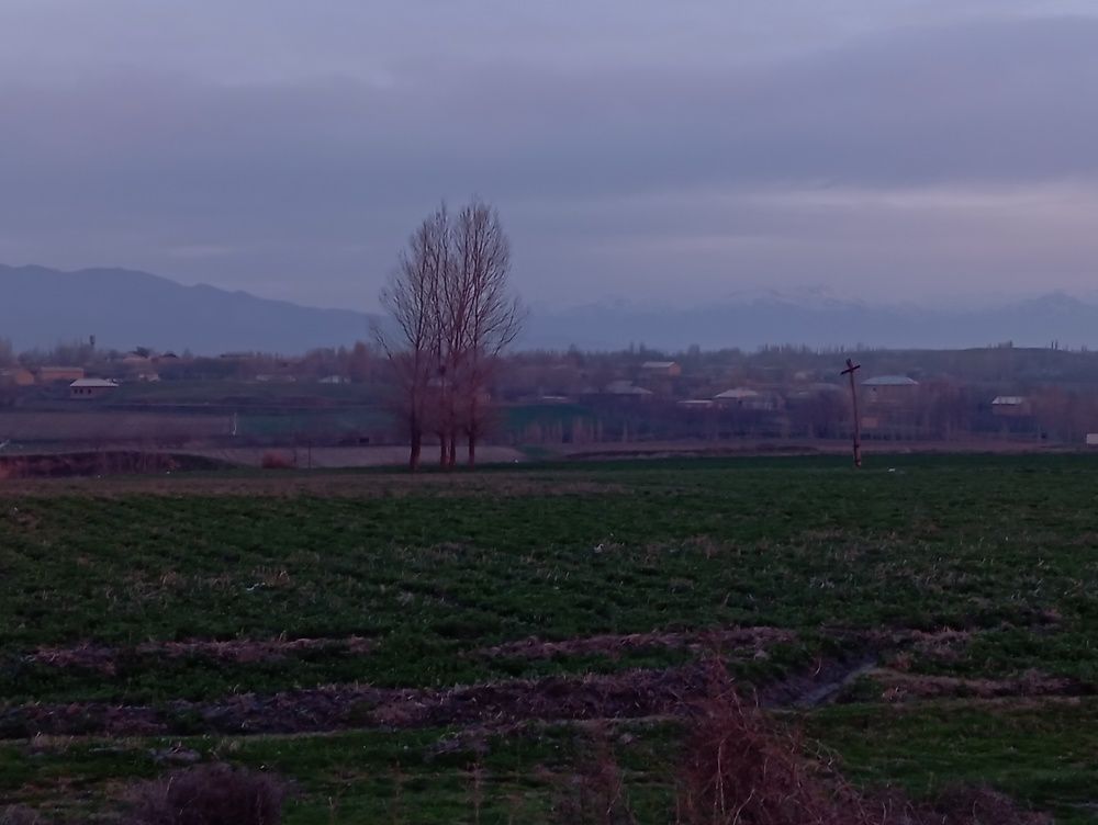 Photograph by Lobar Komiljonova