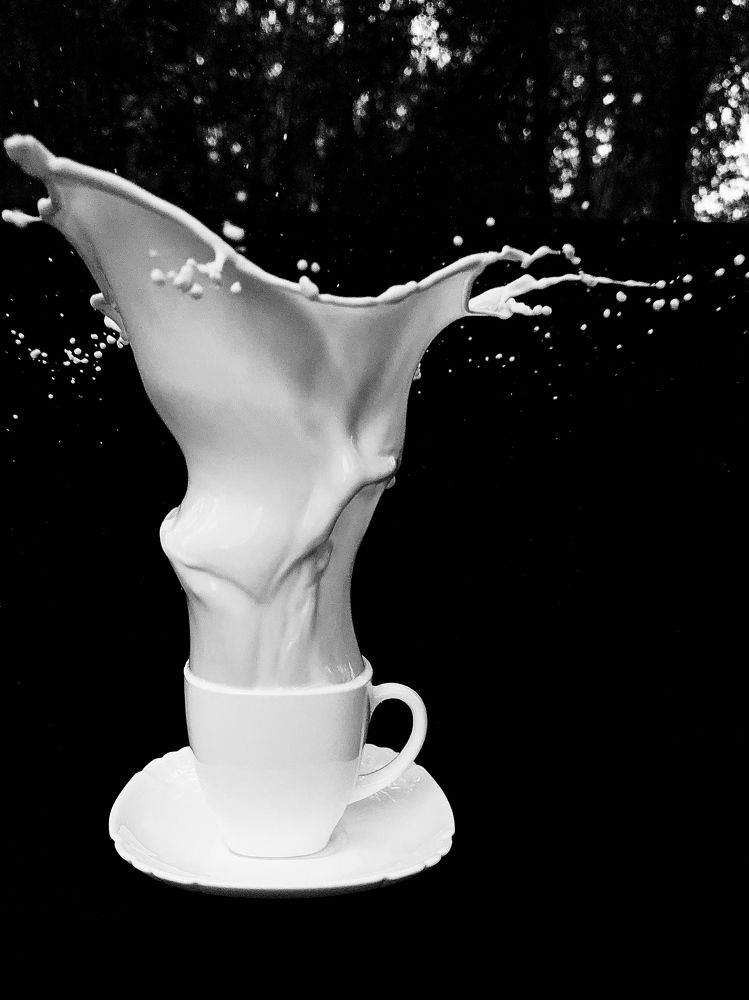 Фотография автора Анна Балабан