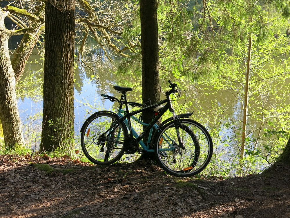 Photograph by ЭЛЬМИРА  ИСМАИЛОВА