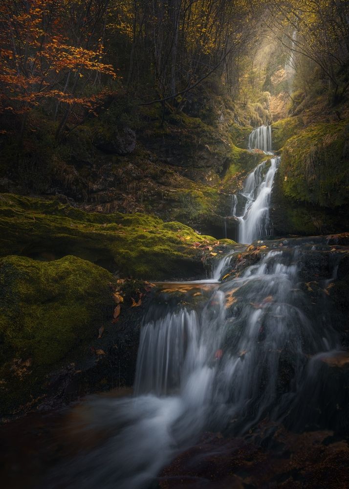 Shivers Run Through the Spine