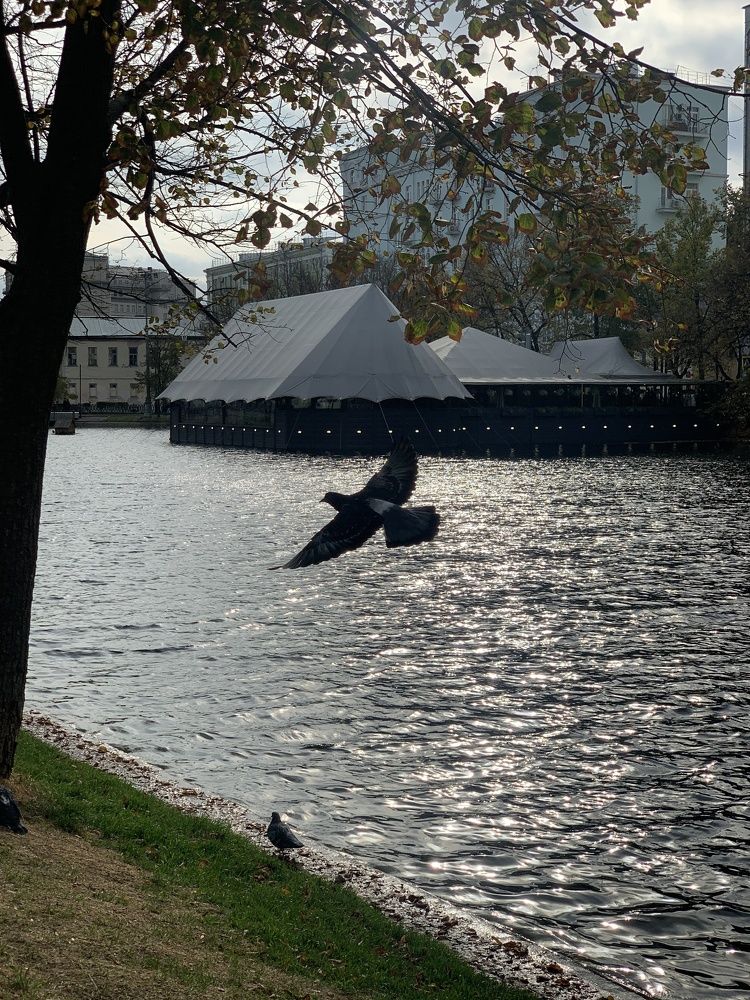 Фотография автора Виктория Ляпина