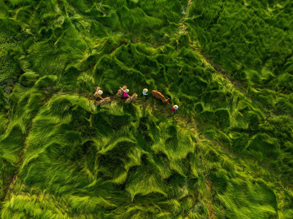 Photograph by Trần Anh