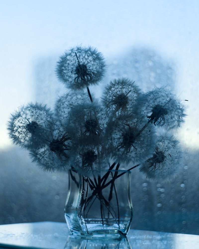 Photograph by Екатерина Леонова