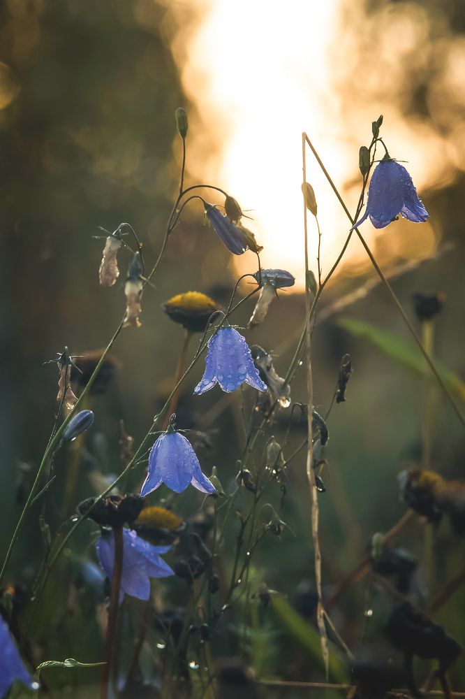 Photograph by Екатерина Леонова