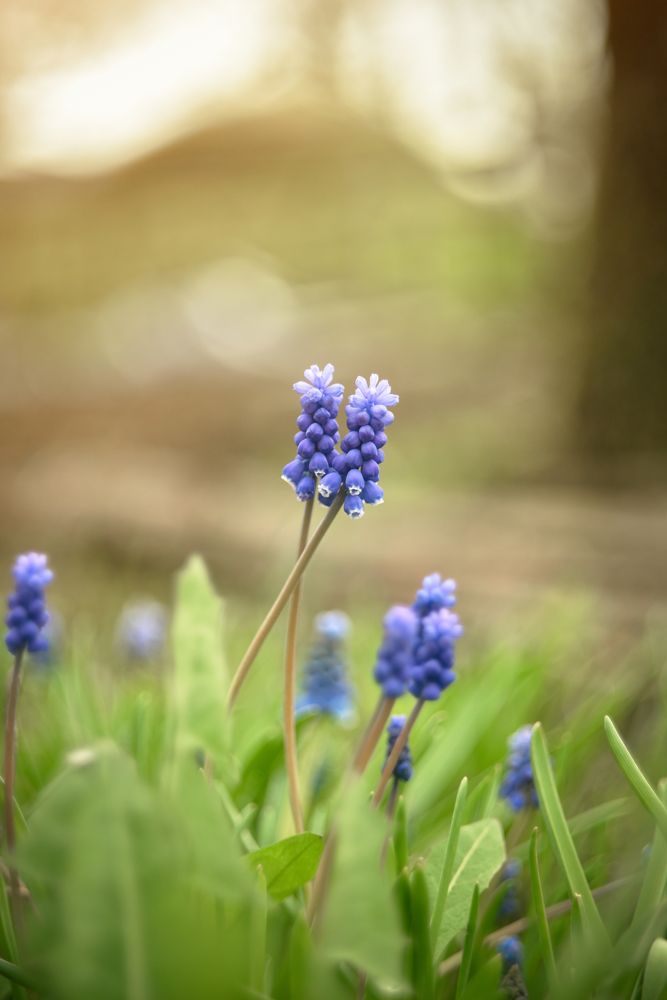 Photograph by Екатерина Леонова