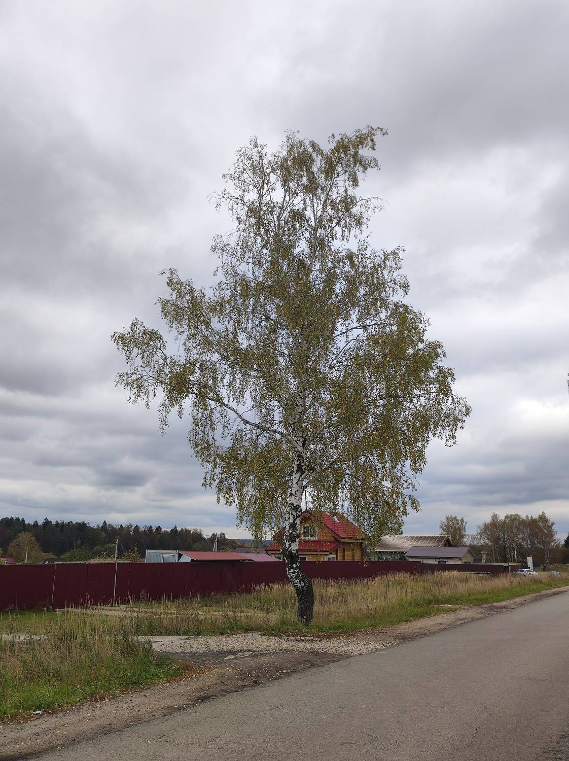 Photo #11342663