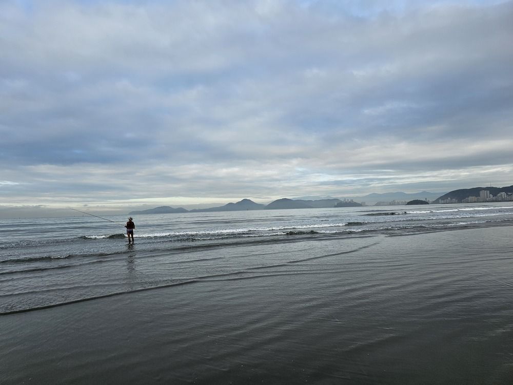 Фотография автора Elaine Almeida