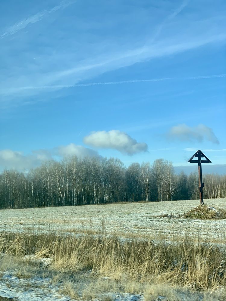 Фотография автора Виктория Ляпина