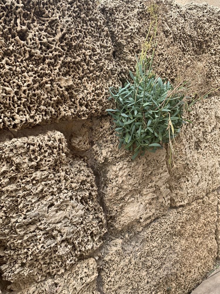 Фотография автора Виктория Ляпина