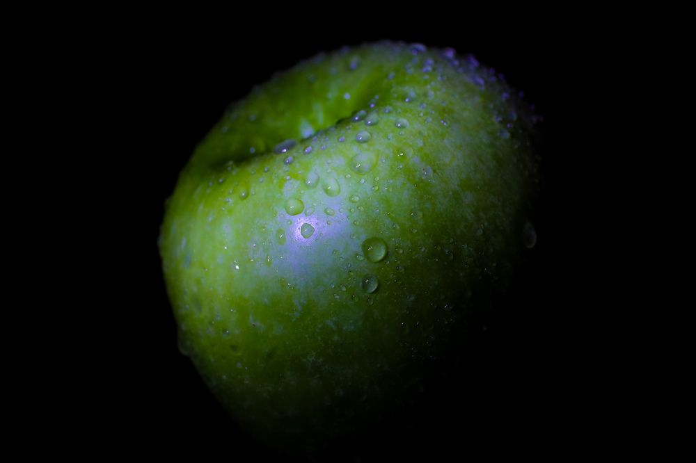 Photograph by Grădinaru Catalin