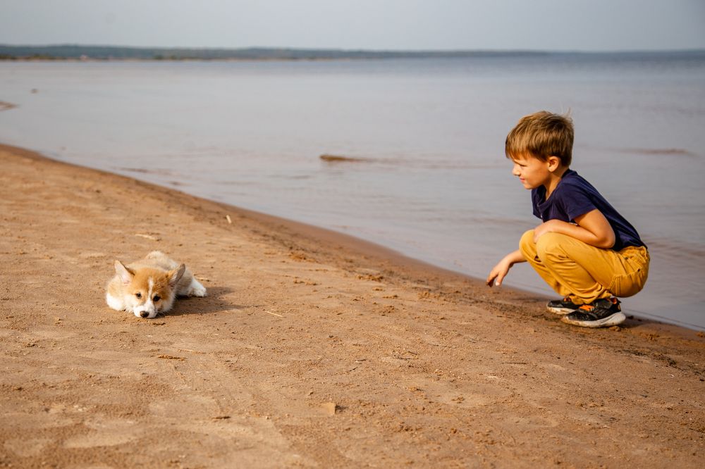 Фотография автора Станислава Гордеева
