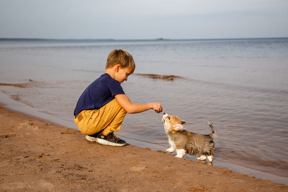 Фотография автора Станислава Гордеева
