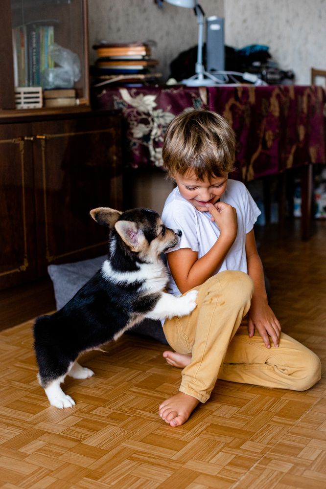 Фотография автора Станислава Гордеева