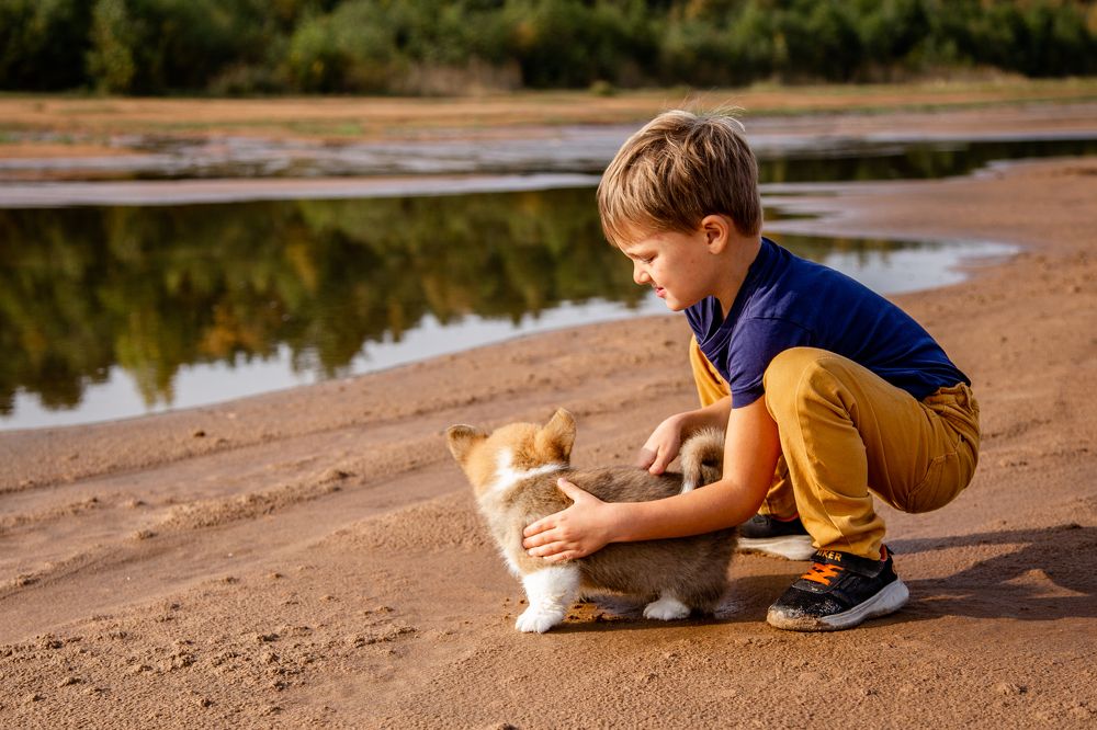 Фотография автора Станислава Гордеева