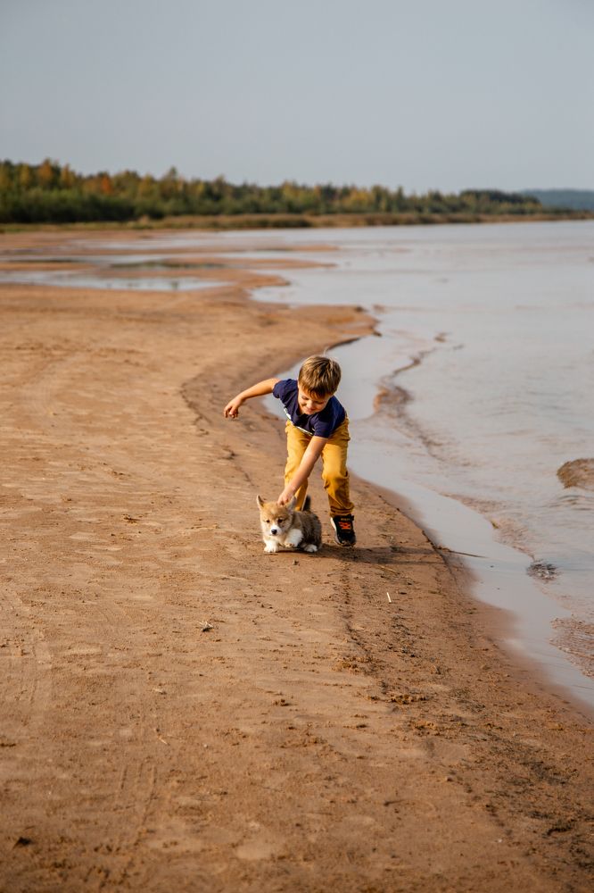 Фотография автора Станислава Гордеева