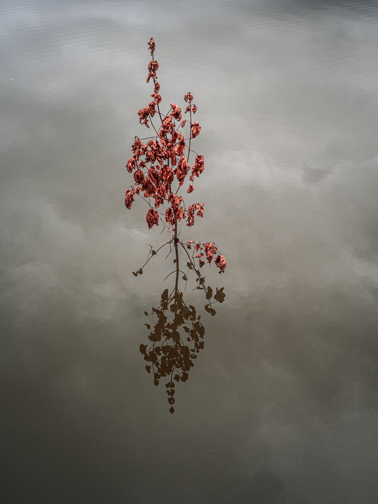 Photograph by Шейко Анна