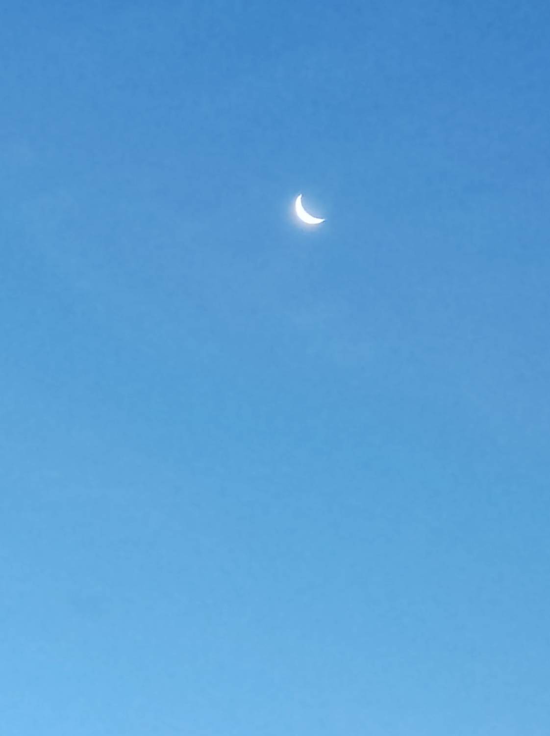Photo #11342763