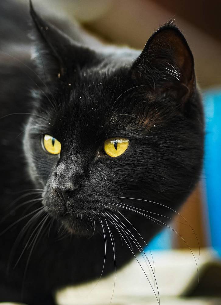 Photograph by Галина Искандарова