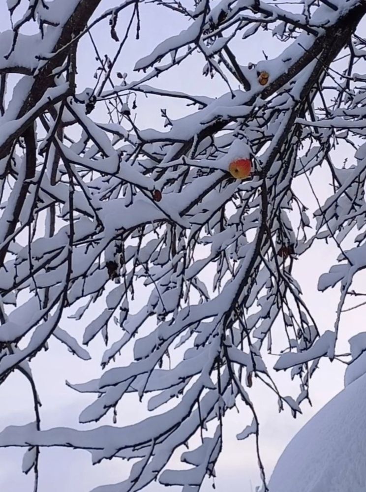 Photograph by Елена Никитина