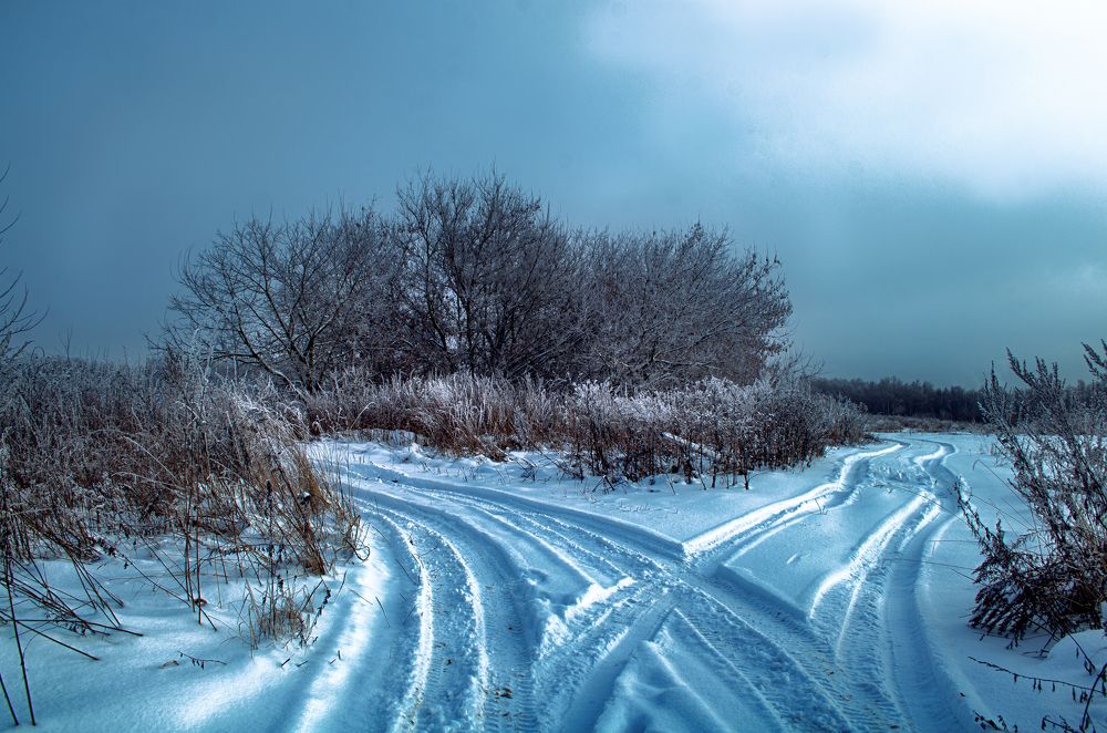 Photograph by Наталья Золотарева