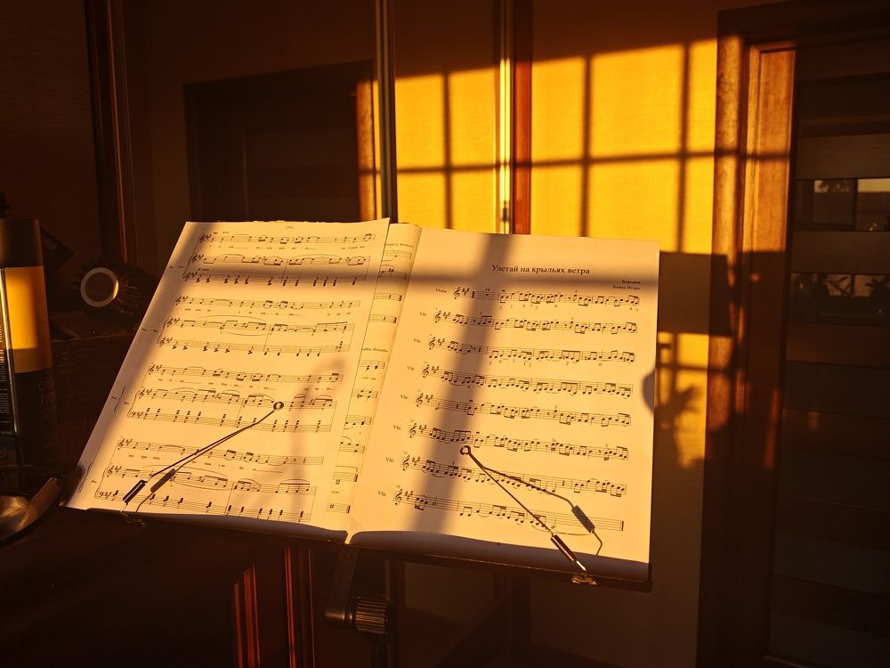 Photograph by Михаил Моисеев